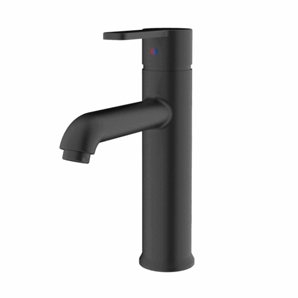 TOLEDO B200100 Single-Lever Basin Mixer