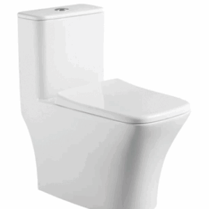EN015 One Piece Floor Toilet