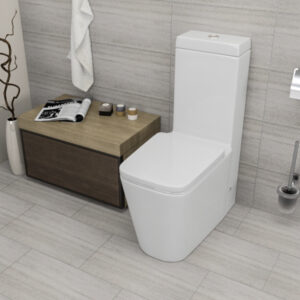 EN013 One Piece Floor Toilet