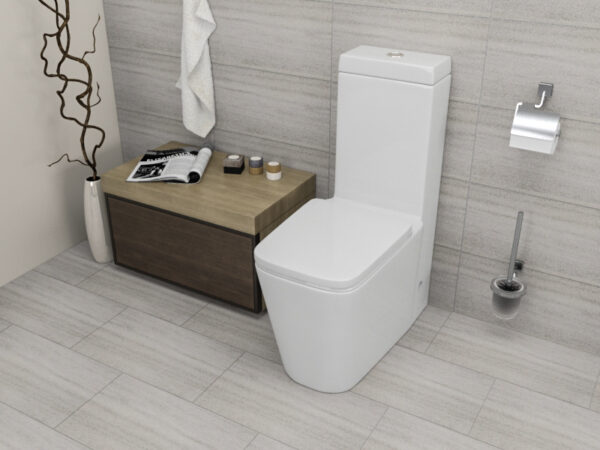 EN013 One Piece Floor Toilet