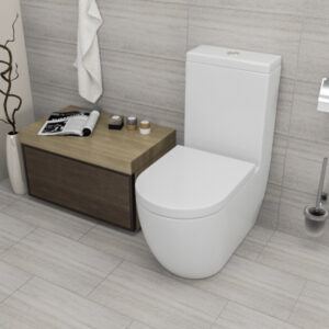 EN014 One Piece Floor Toilet