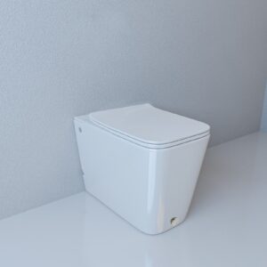 EN012 Tankless Floor Toilet